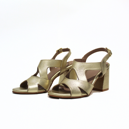 TACOS AMARANTA V004 / DORADO