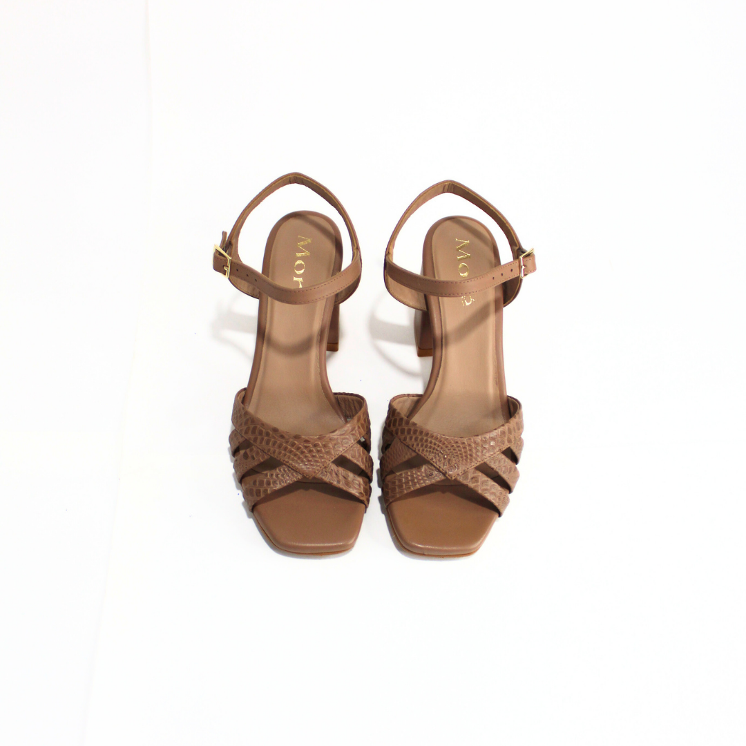 TACOS AMARANTA V005 / TOFFEE