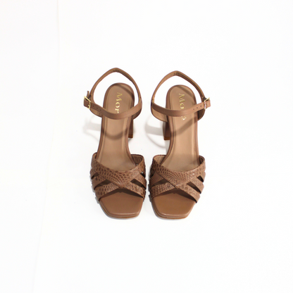 TACOS AMARANTA V005 / TOFFEE