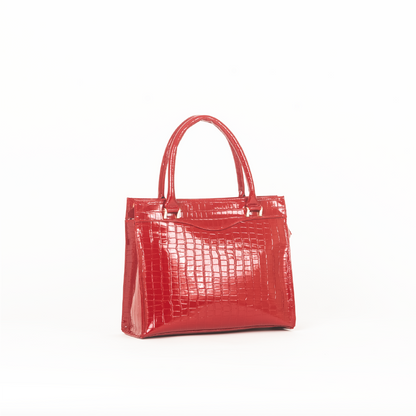 CARTERA ARIEL / COLORES