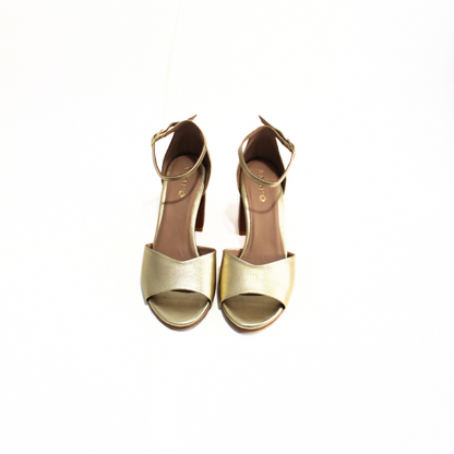 TACO AMARANTA V001 / DORADA